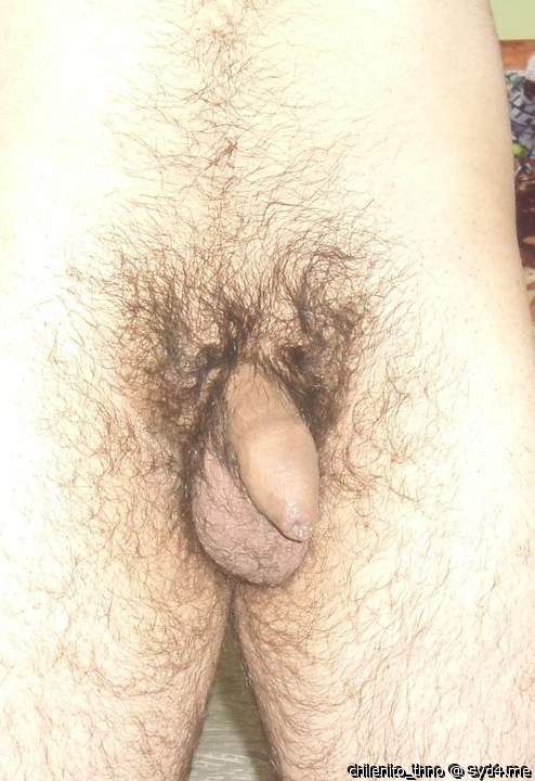 Adult image from chilenito_thno