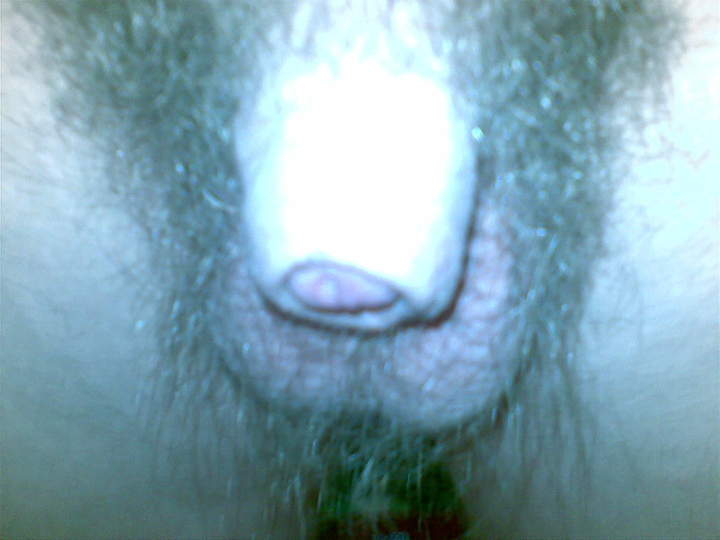 Adult image from 450