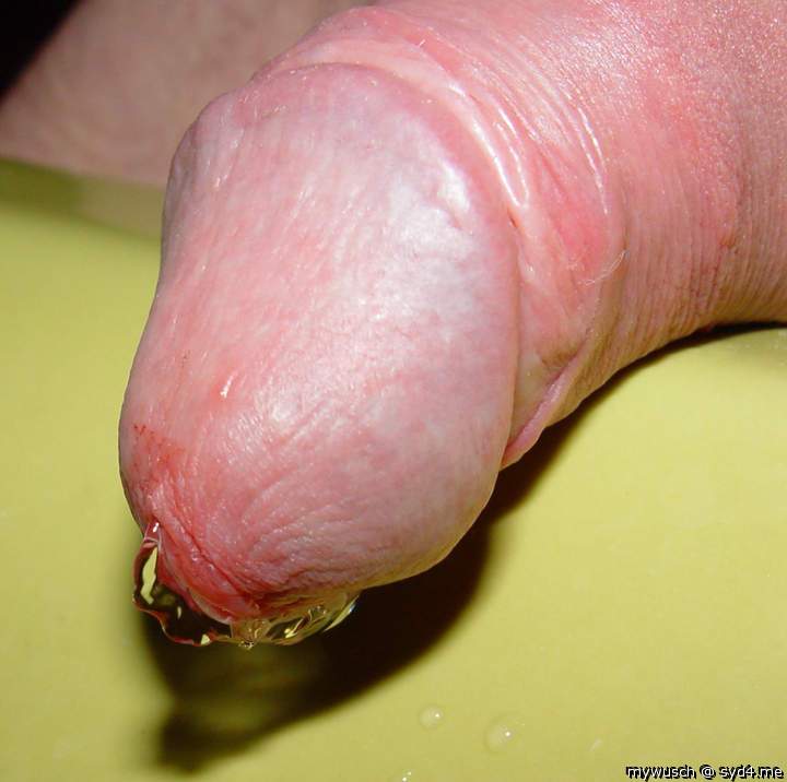 Adult image from mywusch