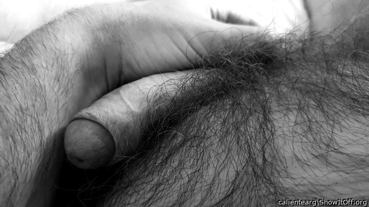 Adult image from calientearg