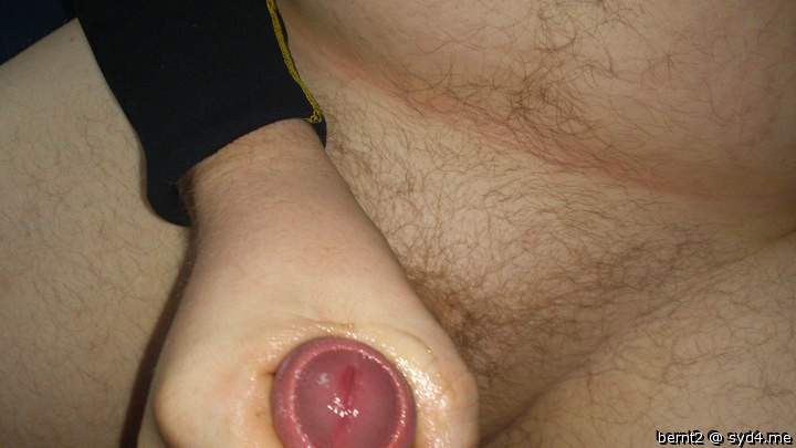 Adult image from Bernt2