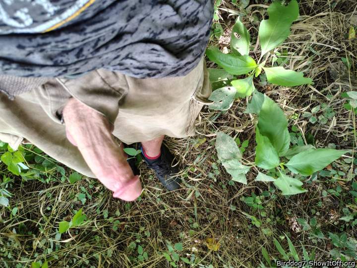 Adult image from Birddog7