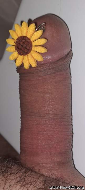 Adult image from Little