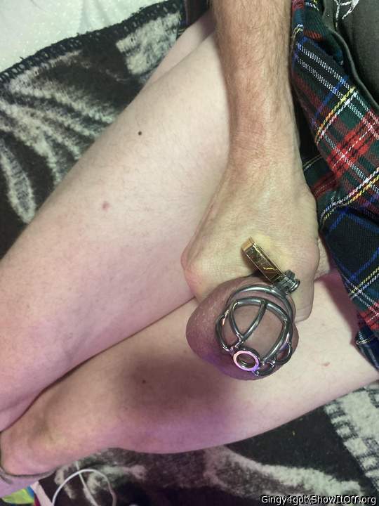  So lovely
I would love to suck it in its cage  