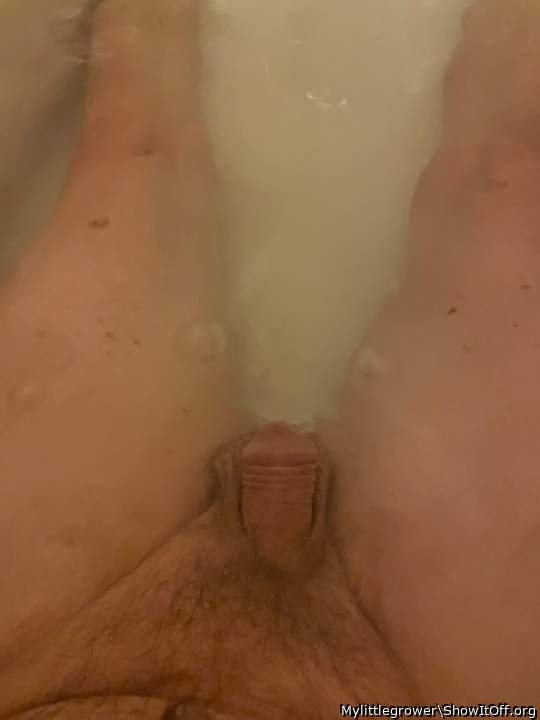 Adult image from Mylittlegrower