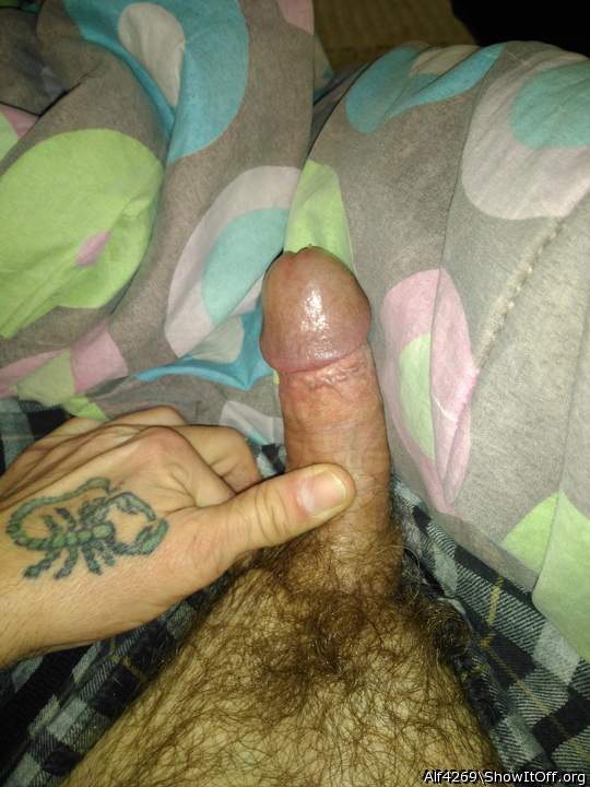 Adult image from Alf4269