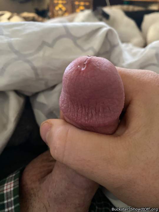 Adult image from Buckster