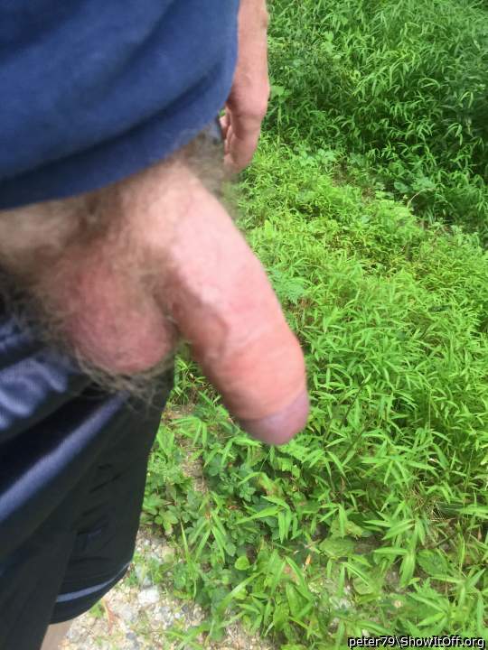 Adult image from peter79