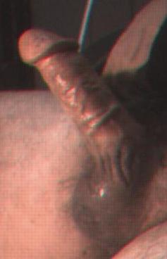 Adult image from berty35
