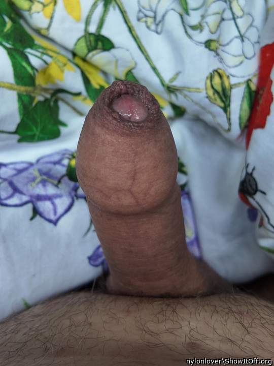 Adult image from nylonlover