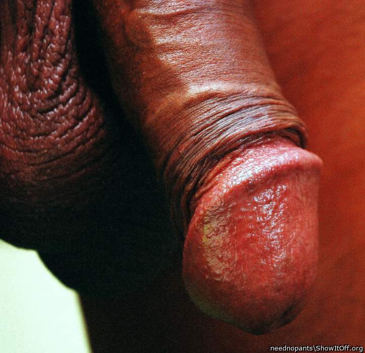 Adult image from neednopants