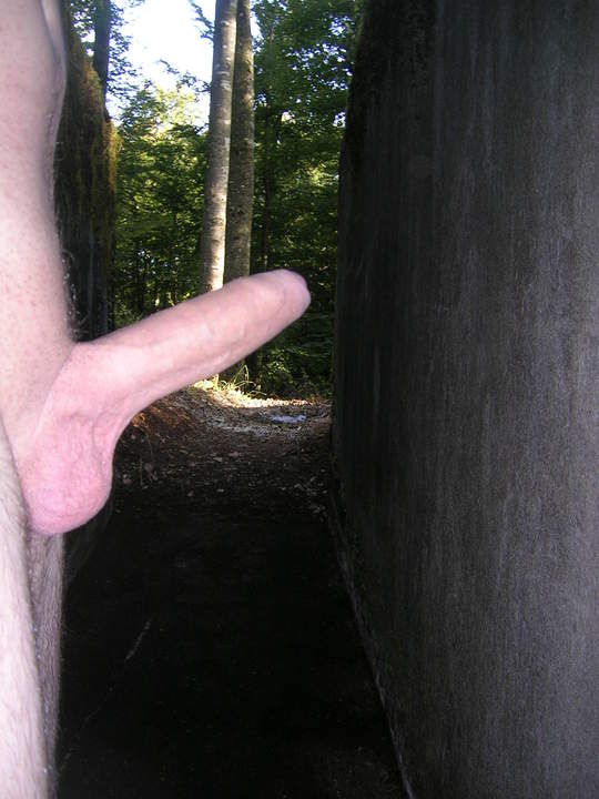Adult image from raurach