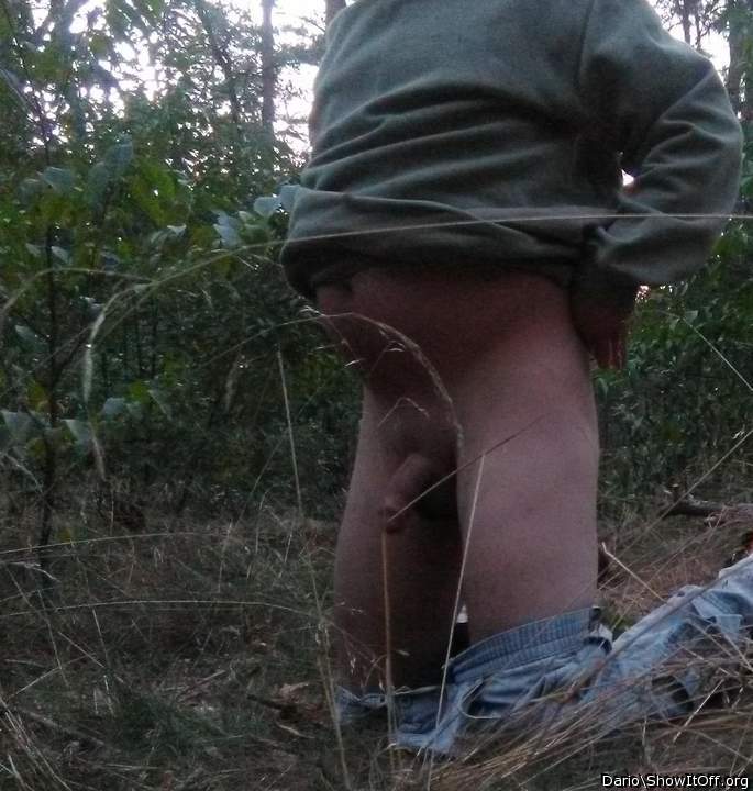 Adult image from Dario