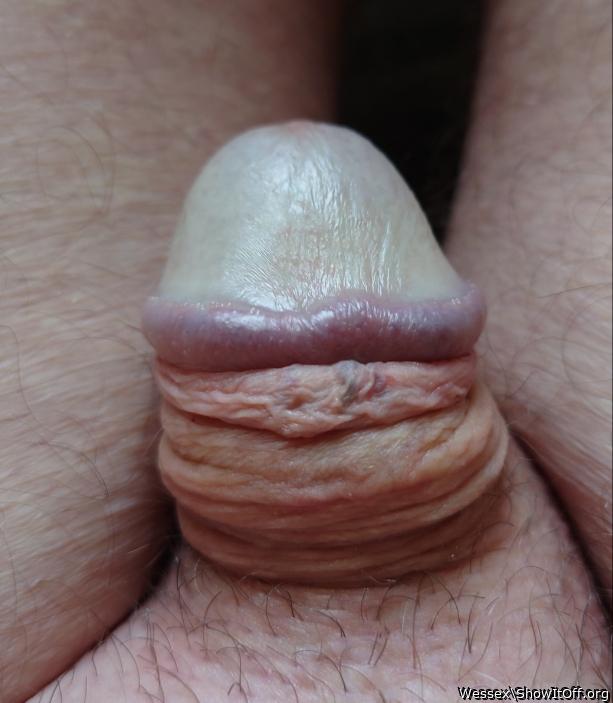 Love the shape of your head.