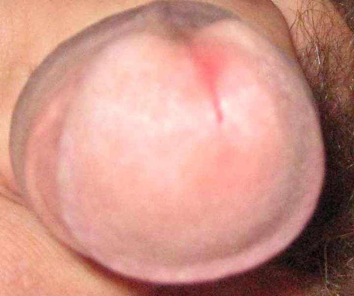 Adult image from iccockb4thee