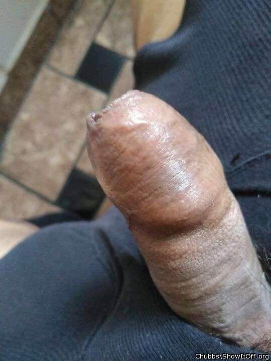Adult image from Chubbs