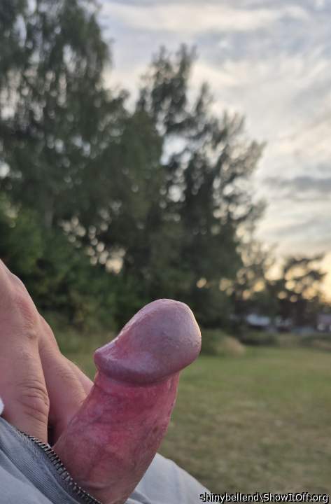 My Bell End Peeping Out In The Park At Sunset