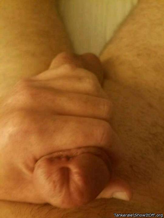 Adult image from Tankerale