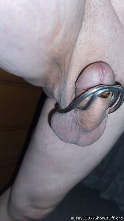 Adult image from eusay1587
