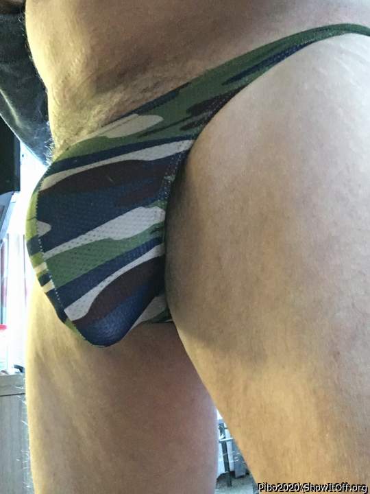 Adult image from Pibo2020