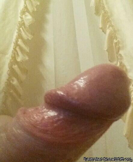 Adult image from *Humpy_Rugmuncher