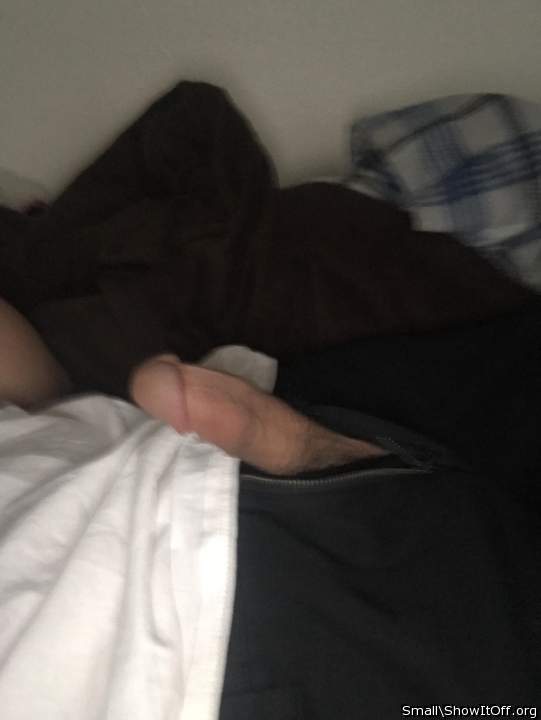 Adult image from Small