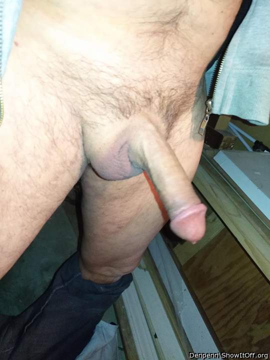 Adult image from Denpenn