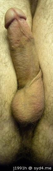 Adult image from J1991h