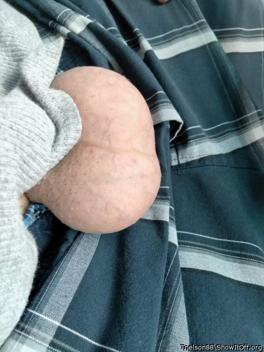 Adult image from Tnelson88