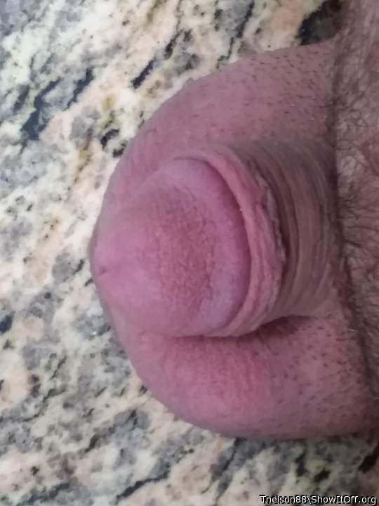 Adult image from Tnelson88