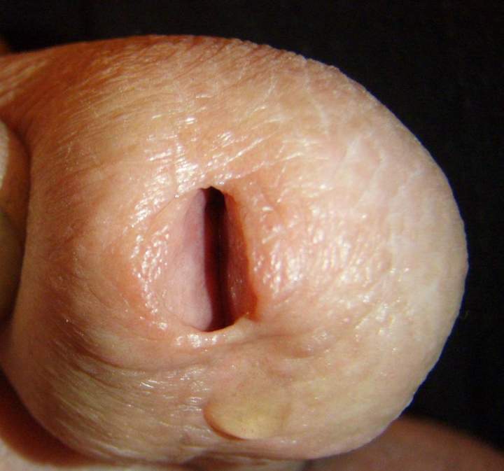 Adult image from lilsoftee