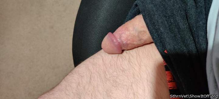 Adult image from SthrnVet
