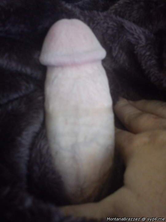 Adult image from Montanabrazzez
