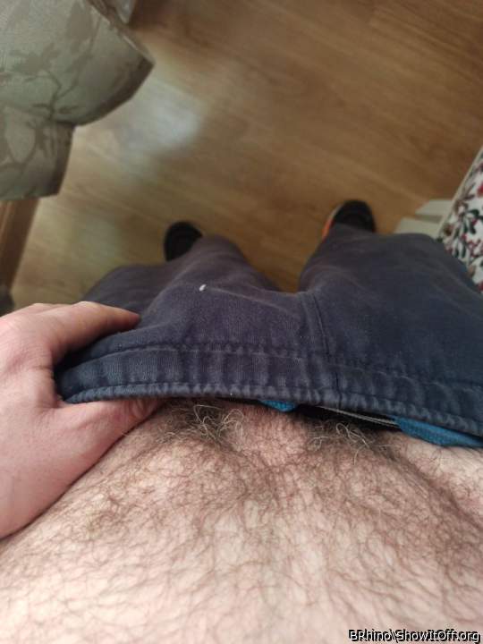 Adult image from BRhino