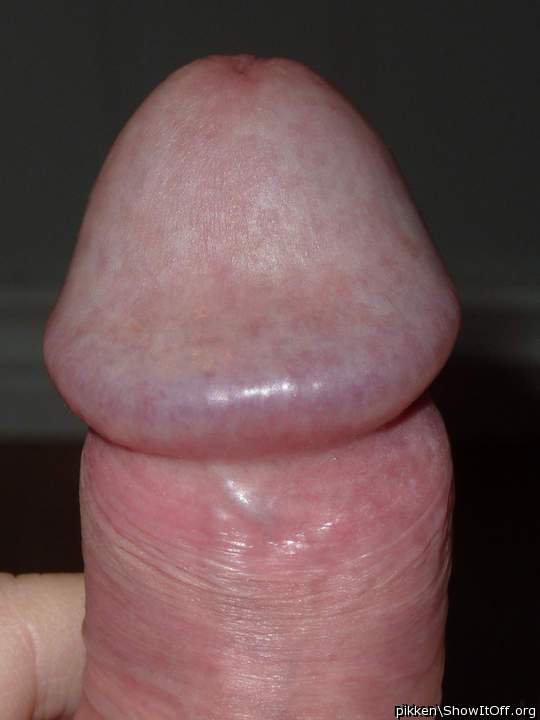 Adult image from pikken