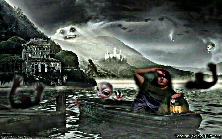 Adult image from cardinal