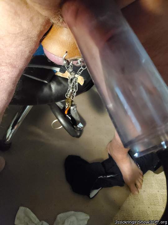 Adult image from 2cockrings