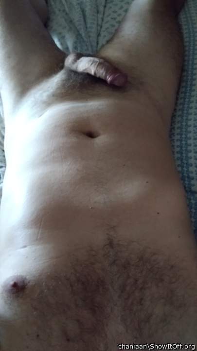 Adult image from chaniaan