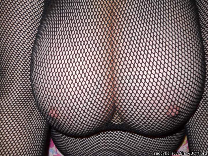 Sexy fish net - [4-26-11-1]