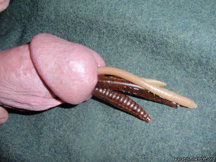 Adult image from karst