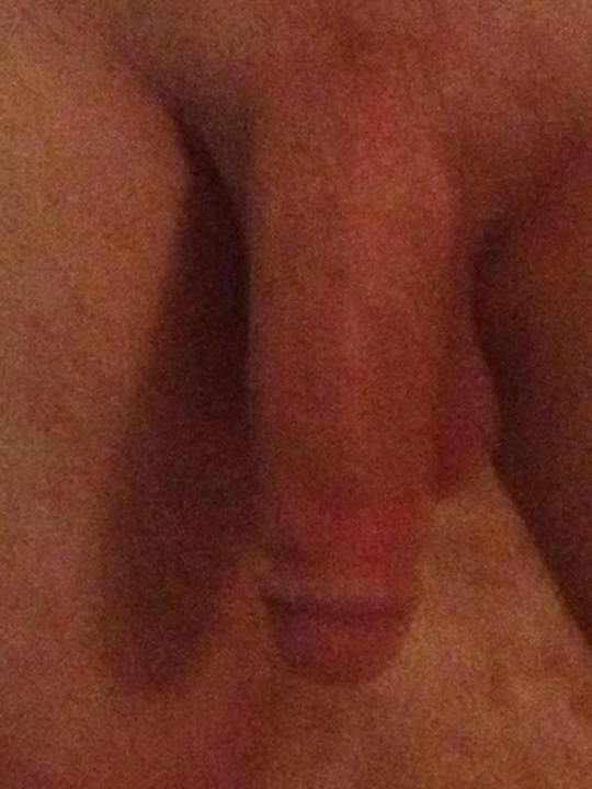 Adult image from Papamike