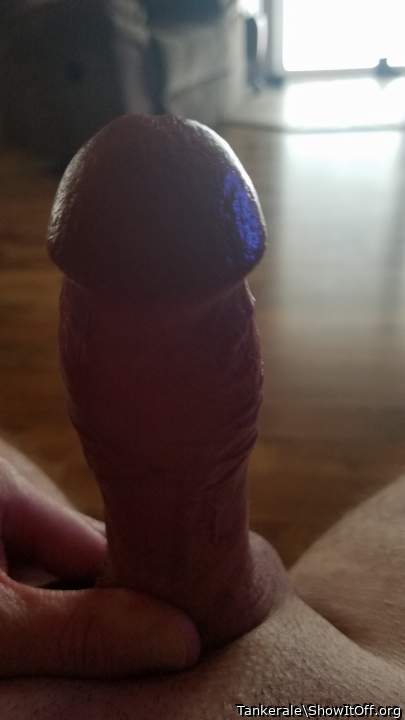 Adult image from Tankerale