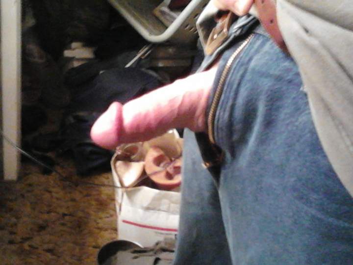 Adult image from fish4free
