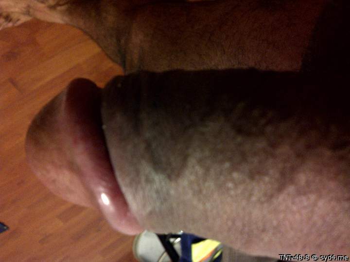 Adult image from TNT-48-8