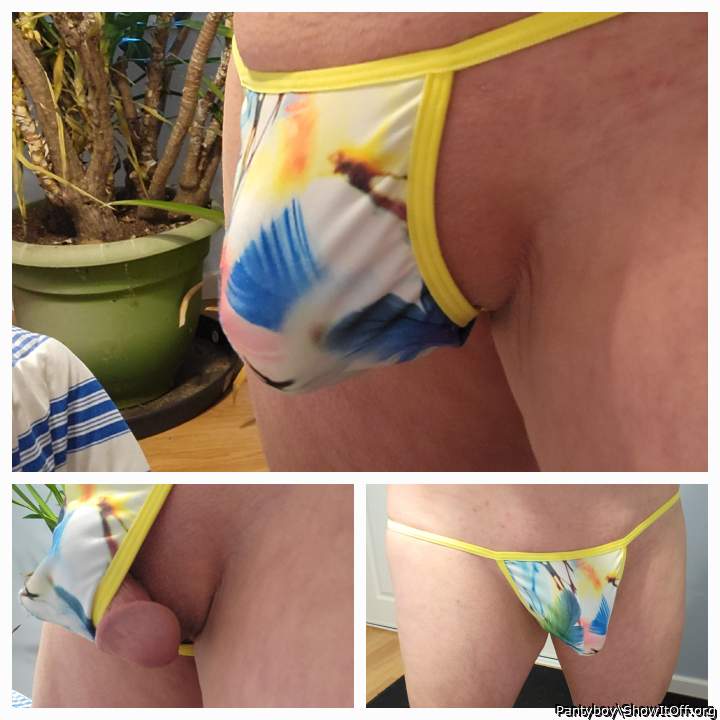 Adult image from Pantyboy