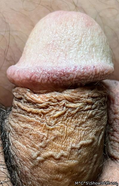 A very attractive dick 