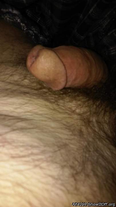 Adult image from Alf4269