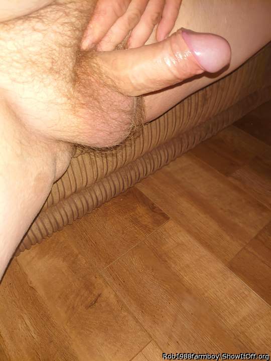 sweet dick! lovely hairy balls!   