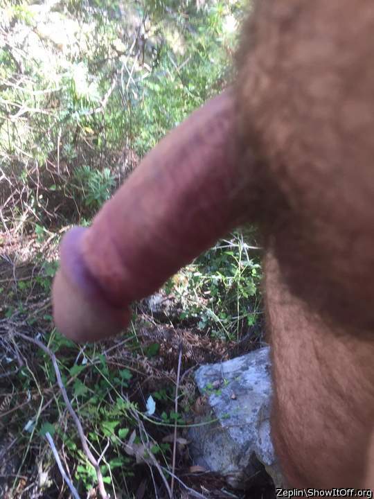 Adult image from Zeplin