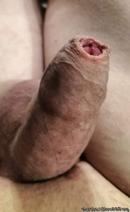 Adult image from charebox